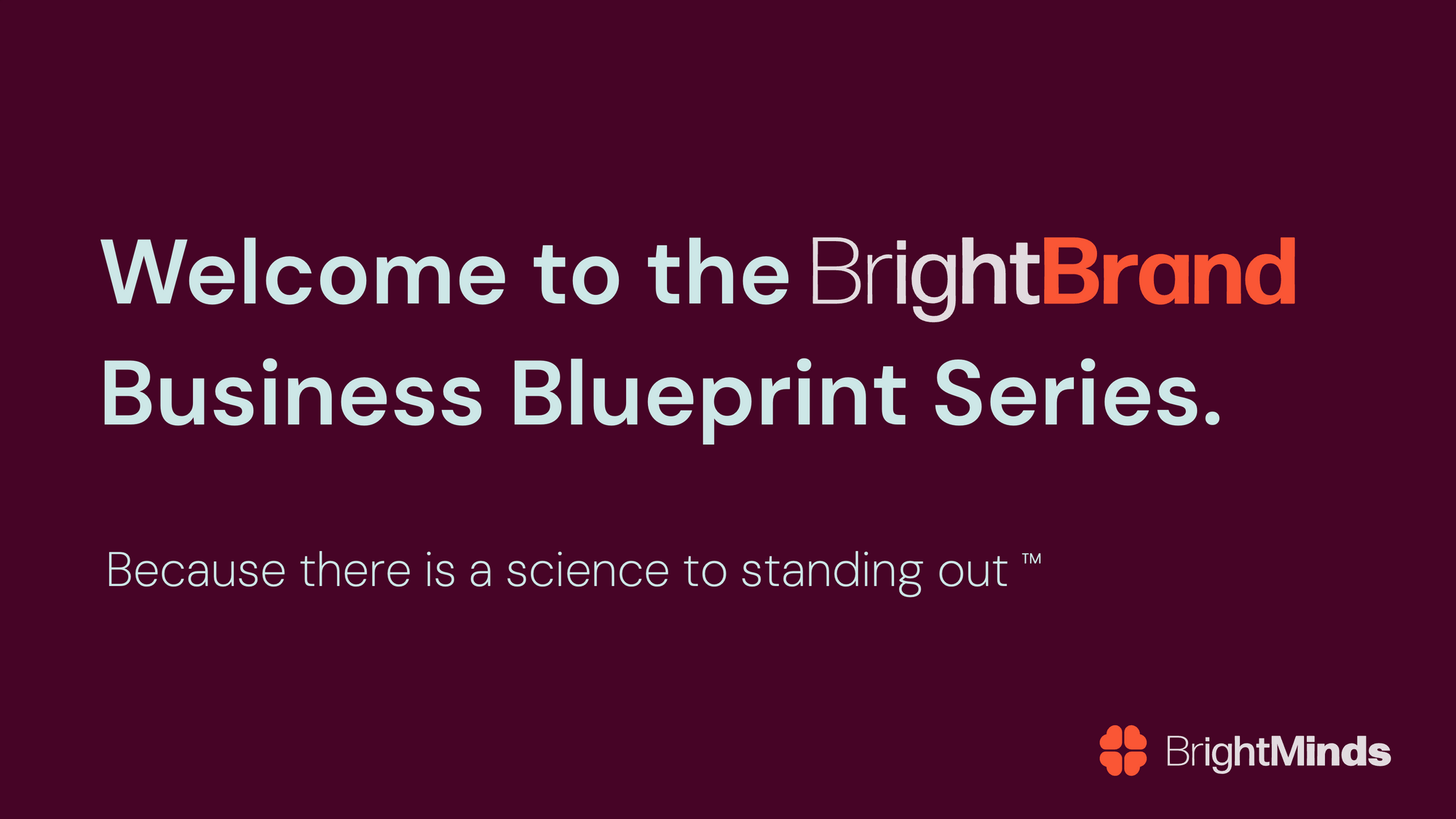 Build A World-Class Brand Book in 5 online sessions