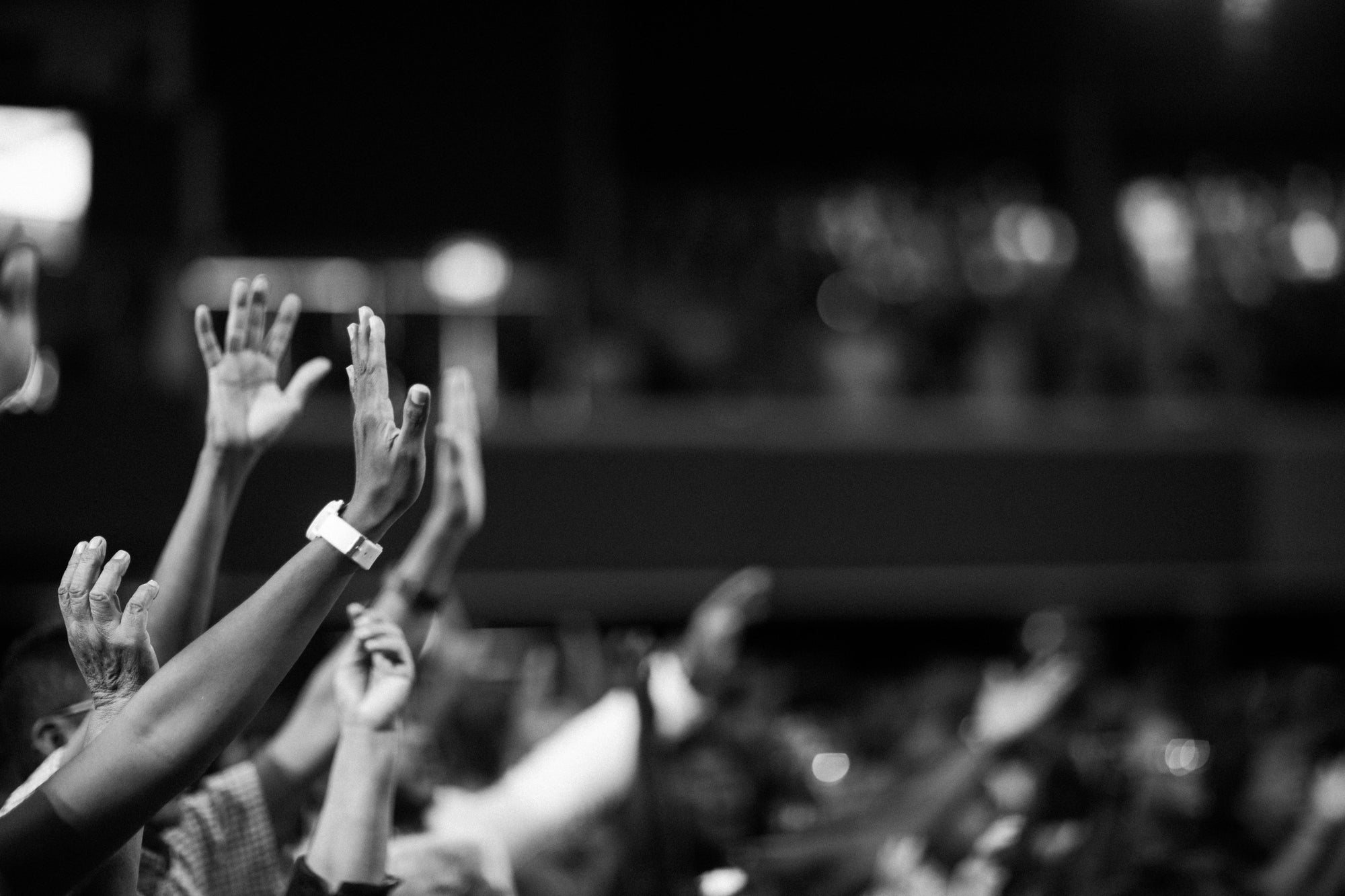 Hands raised in a crowd during an event — representing Brainchild’s collective energy, participation, and the power of shared momentum in creative leadership.